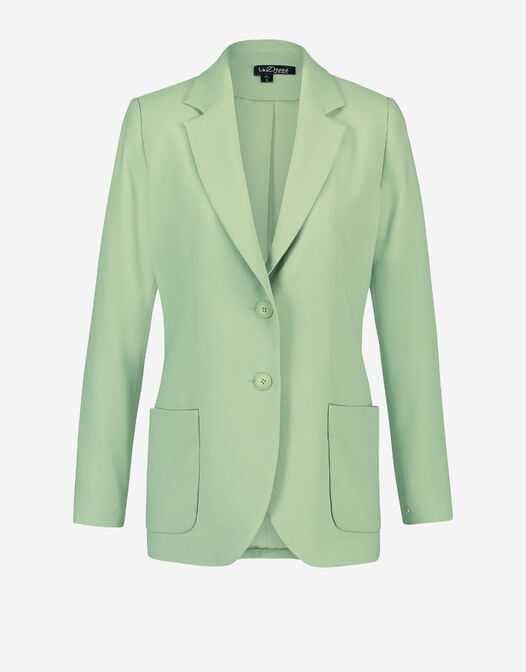 blazer met twee knopen licht groen Carey packshot